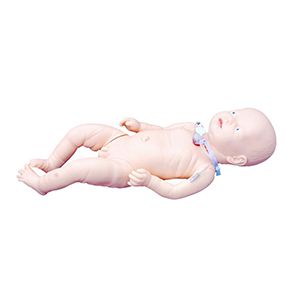 Tracheostomy Care Infant Model